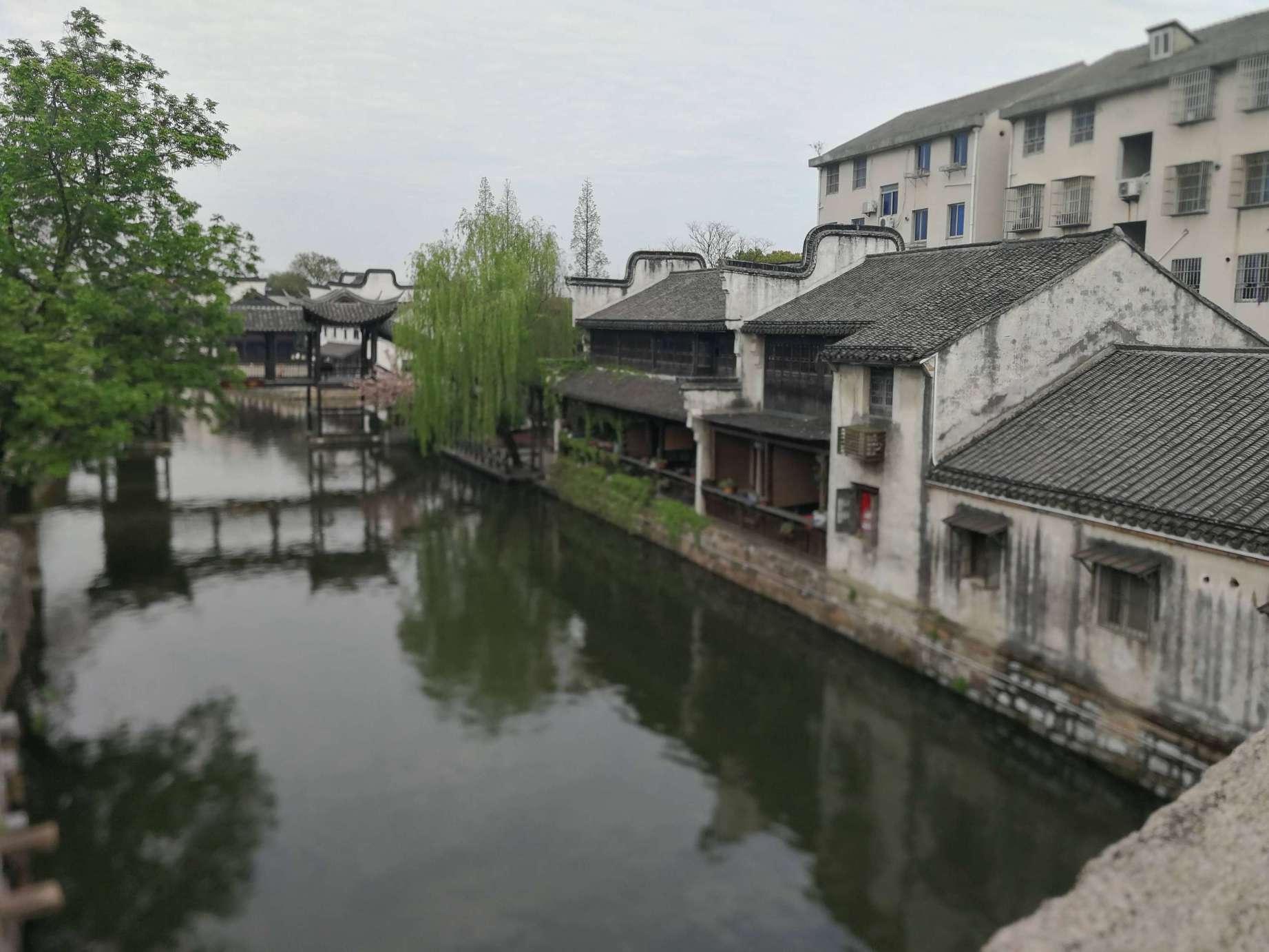 拯救小松鼠